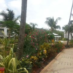 Отель On Vacation Blue Cove All Inclusive Колумбия, Сан-Андрес - отзывы, цены и фото номеров - забронировать отель On Vacation Blue Cove All Inclusive онлайн фото 3