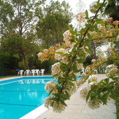 Отель Relais Leon Doro Мирано бассейн фото 2