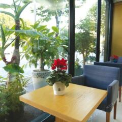 BENIKEA Hotel FLOWER питание