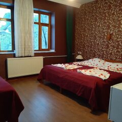 Kapadokya Stonelake Hotel Турция, Гюзельюрт - отзывы, цены и фото номеров - забронировать отель Kapadokya Stonelake Hotel онлайн удобства в номере