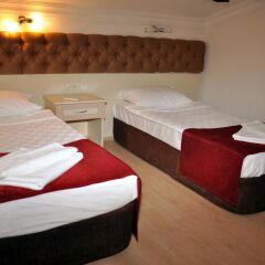 Dena City Hotel комната для гостей фото 2