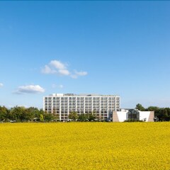 Отель Dorint Main Taunus Zentrum Frankfurt/Sulzbach спортивное сооружение