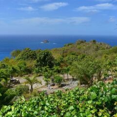Villa Taniko in Gustavia, St Barthelemy from 5324$, photos, reviews - zenhotels.com beach