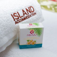 Island Villa in Viti Levu, Fiji from 427$, photos, reviews - zenhotels.com bathroom