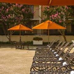 Отель Bethesda Marriott фото 4
