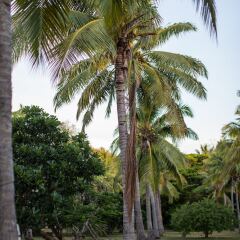 Отель Lomani Island Resort - Adults Only фото 14
