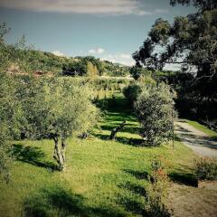 Отель Resort La Ghiaia - Guest House Сарцана приотельная территория