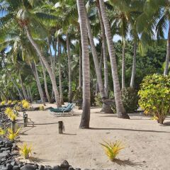 Отель Wananavu Beach Resort парковка