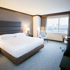 Отель Hilton Minneapolis/Bloomington США, Блумингтон - отзывы, цены и фото номеров - забронировать отель Hilton Minneapolis/Bloomington онлайн комната для гостей фото 5