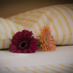 Отель On The Rainbow B&B Италия, Рим - отзывы, цены и фото номеров - забронировать отель On The Rainbow B&B онлайн интерьер отеля