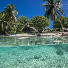 Отель Le Coconut Lodge бассейн фото 3