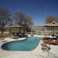 Deception Valley Lodge in Maun, Botswana from 1326$, photos, reviews - zenhotels.com pool photo 2