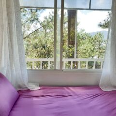 Отель Pine Hill Homes Dalat Далат детские мероприятия
