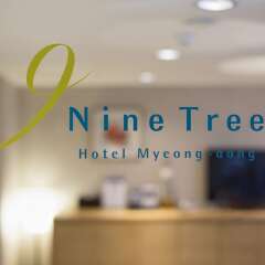 Отель Nine Tree Hotel Myeong-dong Южная Корея, Сеул - отзывы, цены и фото номеров - забронировать отель Nine Tree Hotel Myeong-dong онлайн фитнесс-зал фото 2