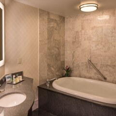 Отель Hilton St. Louis Downtown Сент-Луис ванная