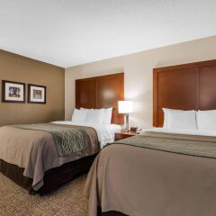 Отель Comfort Inn & Suites Little Rock Airport США, Литл-Рок - отзывы, цены и фото номеров - забронировать отель Comfort Inn & Suites Little Rock Airport онлайн с домашними животными