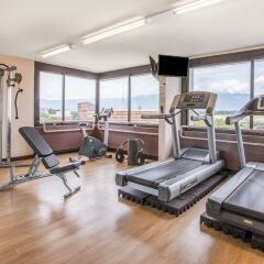 Отель Crowne Plaza Geneva Швейцария, Женева - отзывы, цены и фото номеров - забронировать отель Crowne Plaza Geneva онлайн фитнесс-зал фото 2