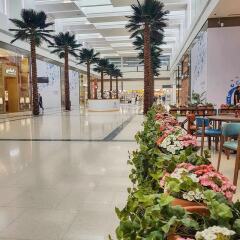 Radisson Blu Hotel, Ajman фото 6