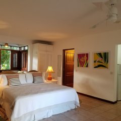 Gingerbread Hotel in Bequia, St. Vincent and the Grenadines from 262$, photos, reviews - zenhotels.com guestroom photo 2