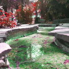 Отель Terme Villa Piave Италия, Абано-Терме - отзывы, цены и фото номеров - забронировать отель Terme Villa Piave онлайн развлечения