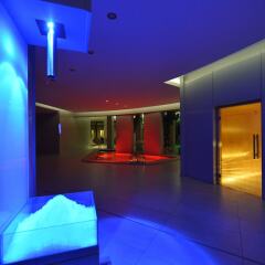 Отель Express Hotel Aosta East Италия, Поллейн - отзывы, цены и фото номеров - забронировать отель Express Hotel Aosta East онлайн сауна