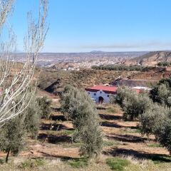 Отель Hostal Rural Montual Сьерра-Невада фото 10
