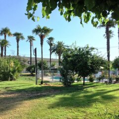 Отель 99 Palms Inn & Suites фото 16