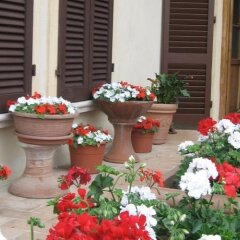 Отель Locanda La Mandragola Италия, Сан-Джиминьяно - отзывы, цены и фото номеров - забронировать отель Locanda La Mandragola онлайн фото 13