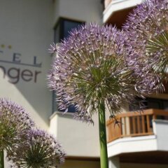 Hotel Pollinger Меран