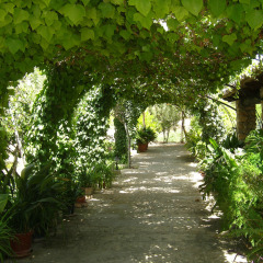 Отель Finca Son Samà фото 12
