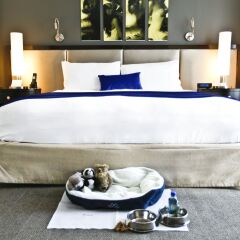 Gansevoort Park Hotel NYC с домашними животными