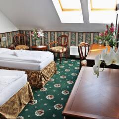 Отель Trinidad Prague Castle Чехия, Прага - отзывы, цены и фото номеров - забронировать отель Trinidad Prague Castle онлайн комната для гостей