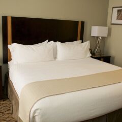 Отель Holiday Inn Effingham США, Эффингем - отзывы, цены и фото номеров - забронировать отель Holiday Inn Effingham онлайн комната для гостей фото 2