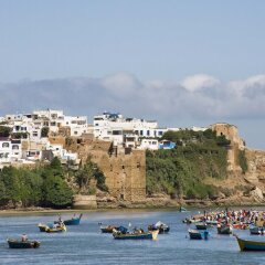 Отель Ibis Rabat Agdal Марокко, Рабат - отзывы, цены и фото номеров - забронировать отель Ibis Rabat Agdal онлайн приотельная территория
