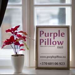Отель Purple Pillow Литва, Вильнюс - отзывы, цены и фото номеров - забронировать отель Purple Pillow онлайн интерьер отеля фото 2