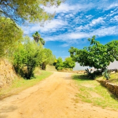 Отель Bungalows Papalús Испания, Льорет-де-Мар - отзывы, цены и фото номеров - забронировать отель Bungalows Papalús онлайн фото 5