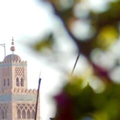 Отель Riad le Coq Fou фото 15