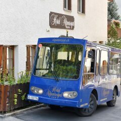 Отель Alpenroyal Швейцария, Церматт - отзывы, цены и фото номеров - забронировать отель Alpenroyal онлайн городской автобус
