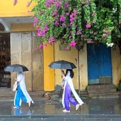 Отель Flamingo Villa Hoi An Вьетнам, Хойан - отзывы, цены и фото номеров - забронировать отель Flamingo Villa Hoi An онлайн фото 11