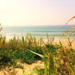 Апартаменты Apartment With 3 Bedrooms in Peniche, With Wonderful sea View, Furnish фото 7