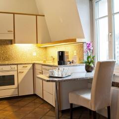 Отель Seestrasse Apartments Drei Koenige Швейцария, Цюрих - 1 отзыв об отеле, цены и фото номеров - забронировать отель Seestrasse Apartments Drei Koenige онлайн в номере фото 2