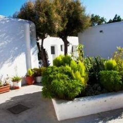 Отель Mykonos Beach Hotel Греция, Миконос - отзывы, цены и фото номеров - забронировать отель Mykonos Beach Hotel онлайн фото 3