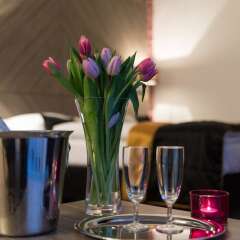 The Hotel 1060 Vienna в номере фото 2