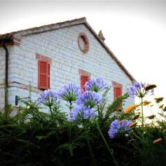 Отель La Martina Country House Италия, Нумана - отзывы, цены и фото номеров - забронировать отель La Martina Country House онлайн фото 14