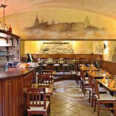 Отель Trinidad Prague Castle Чехия, Прага - отзывы, цены и фото номеров - забронировать отель Trinidad Prague Castle онлайн гостиничный бар