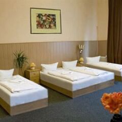 Hotel Pension Rheingold 2* Стандартный номер с различными типами кроватей фото 3