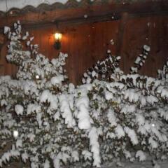 Отель Guest House Stela