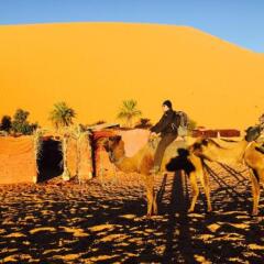 Отель Auberge Kasbah Des Dunes Марокко, Мерзуга - отзывы, цены и фото номеров - забронировать отель Auberge Kasbah Des Dunes онлайн фото 13