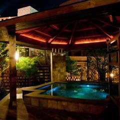 Отель Phoenix Hotspring Resort бассейн