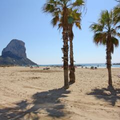 Отель Calpe V Costa Calpe с домашними животными